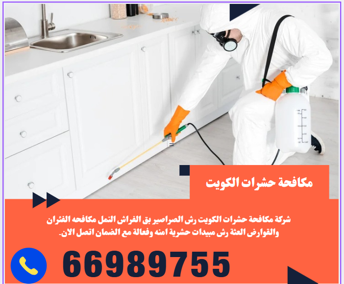 Home screenshot 2025 07 31 022450